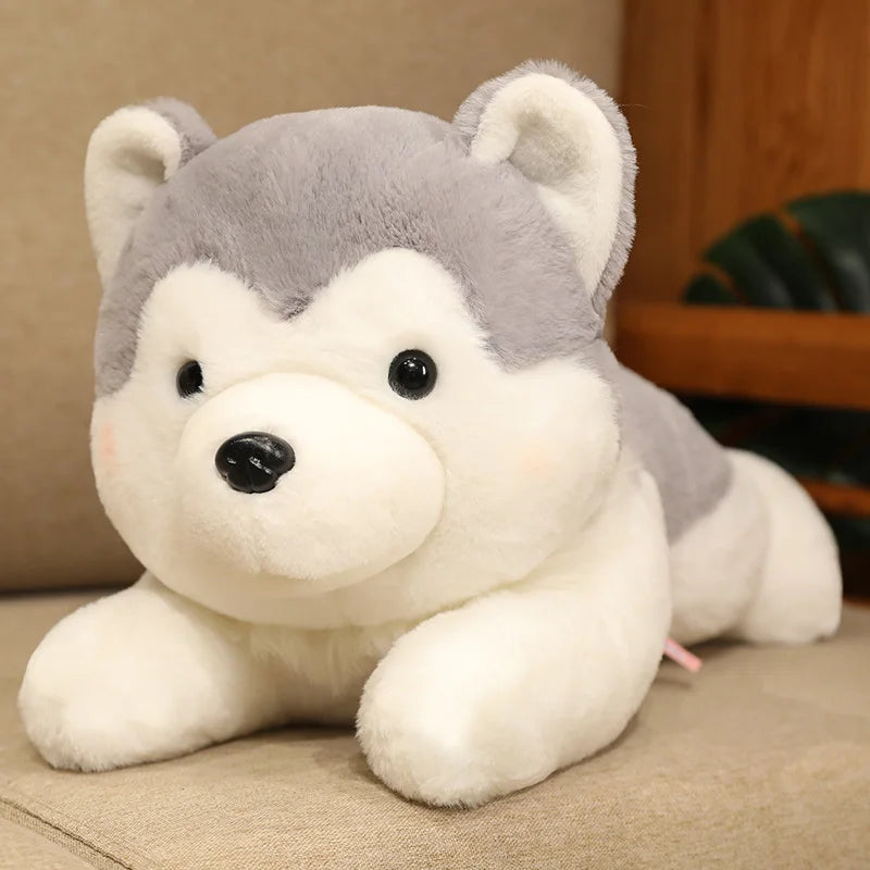Super Soft Resting Husky Dog Stuffed Animal Plushie Pillow (in 2 colours)